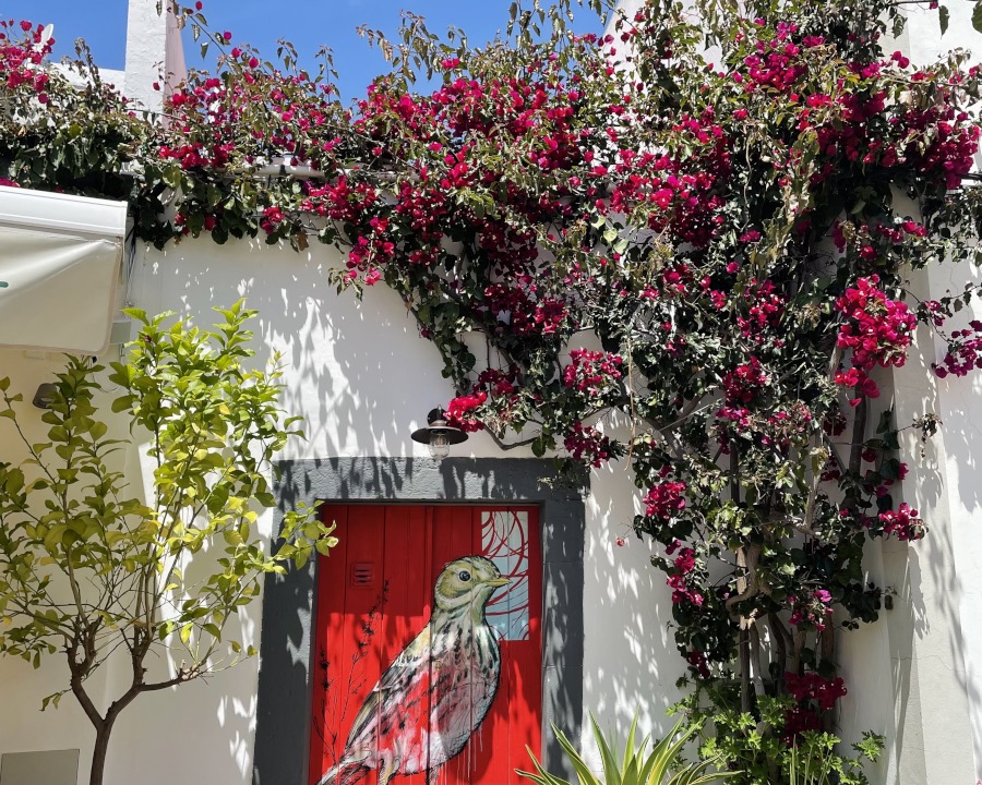 Painted door of a white house covered in flowers in Algarve